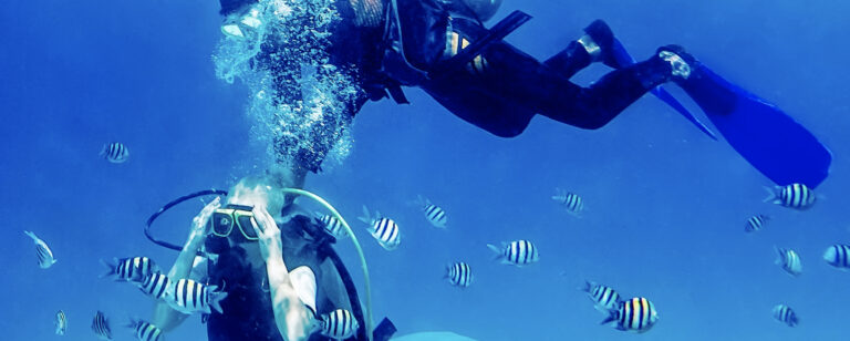 Scuba diving can be recreational, professional, or practiced as a sport.