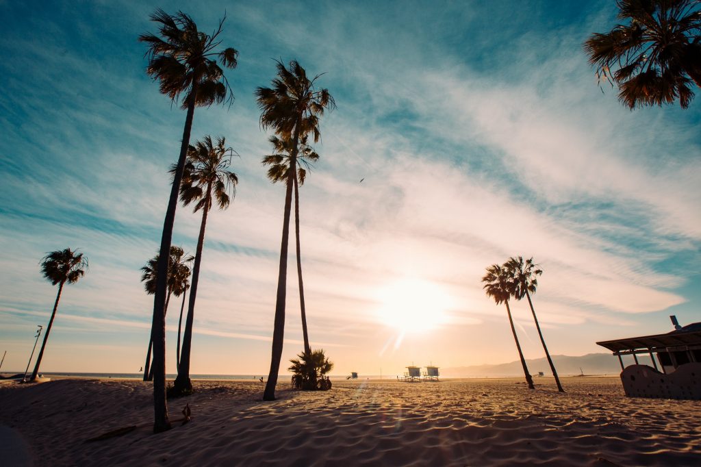 The Best Beaches in the US: Venice Beach.