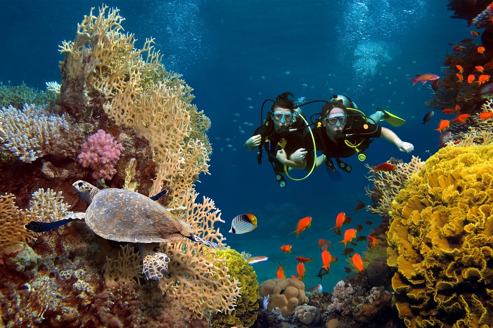 Deportes acuáticos en Cartagena: puedes practicar buceo o tomar clases para aprender.