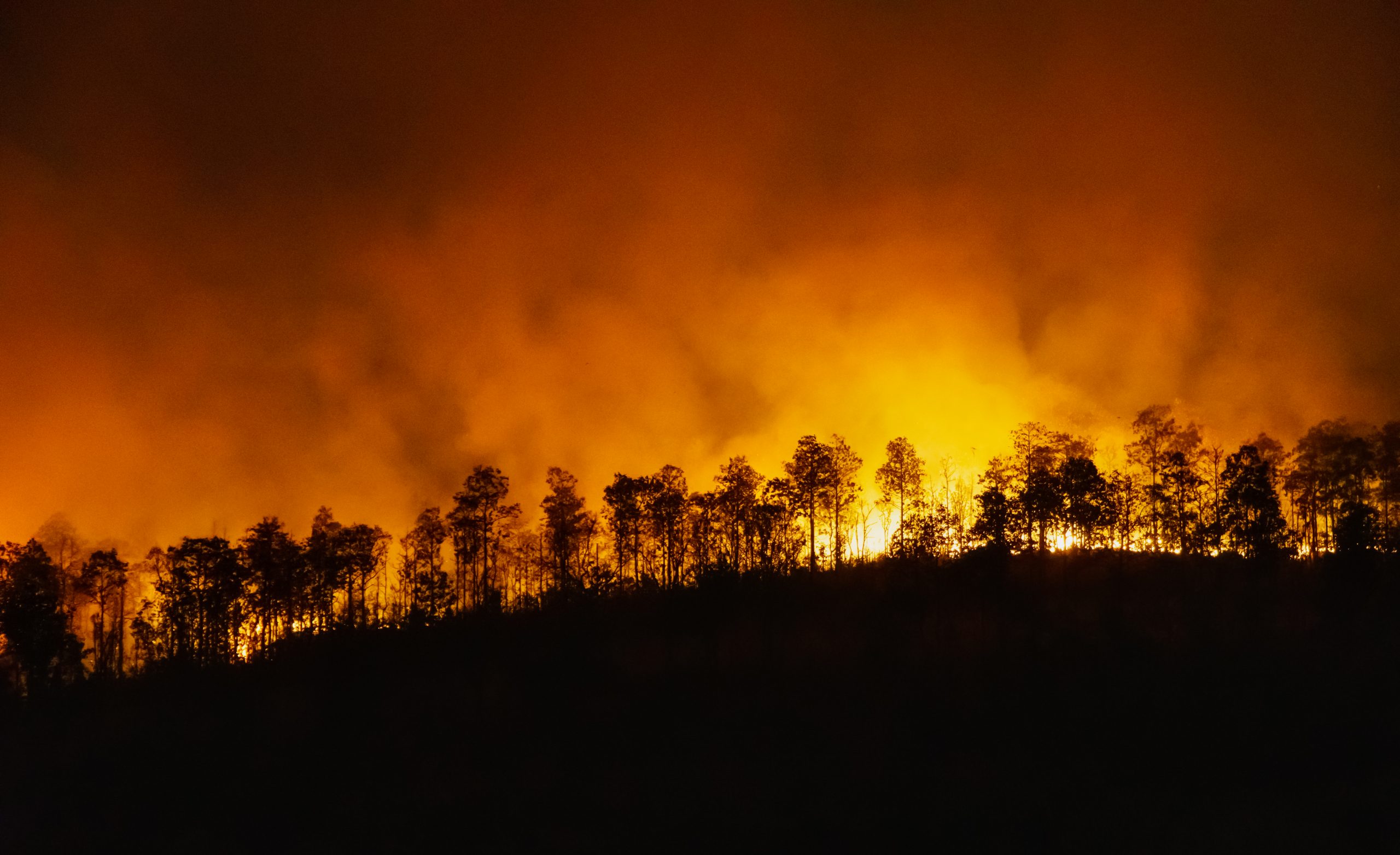 Por qué se producen los incendios forestales en España