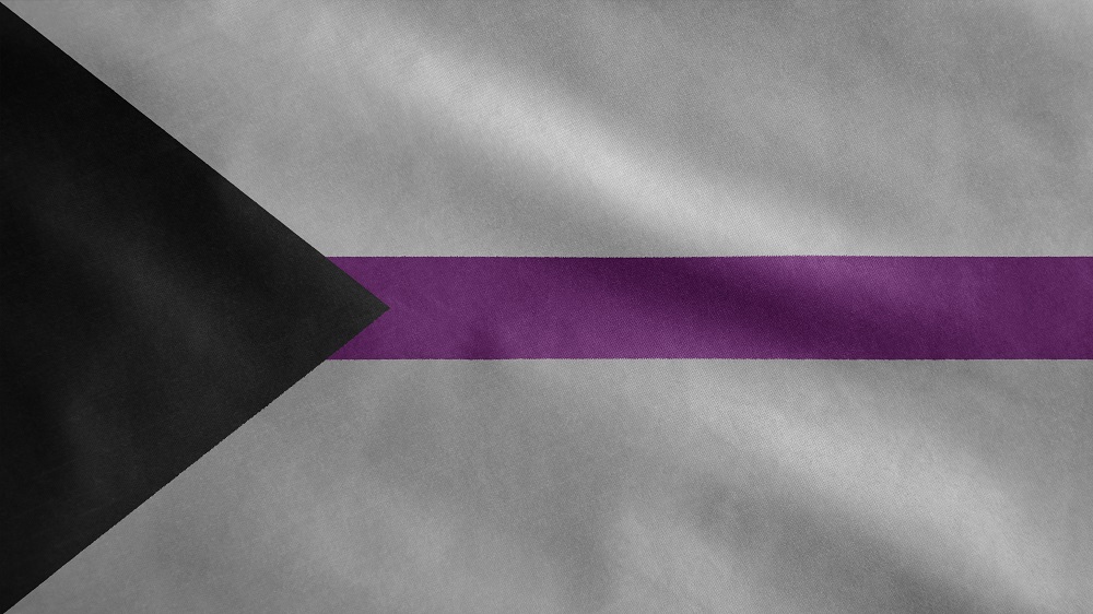 Banderas LGBT+: bandera de la demisexualidad.