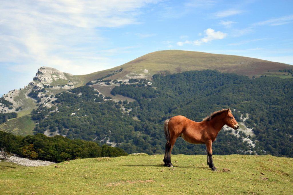 Mejores rutas de senderismo en España en invierno: Monte Gorbea, Vizcaya– Álava, País Vasco.