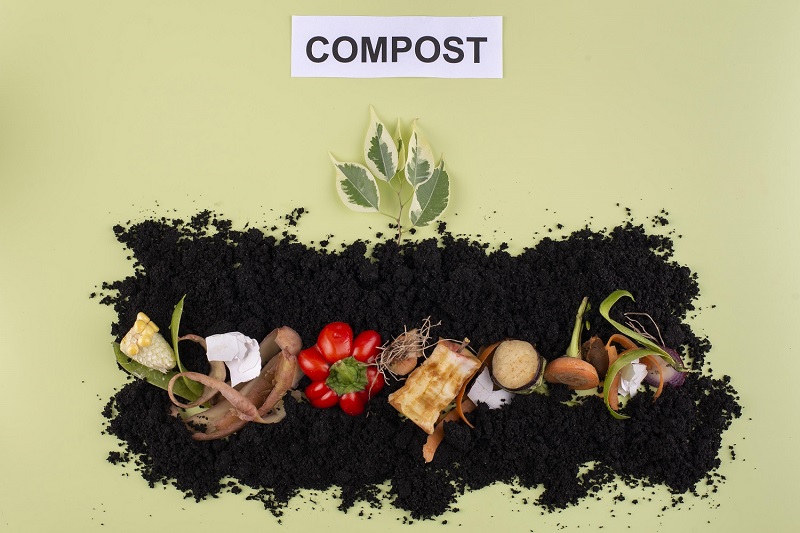 How to compost in your home, step by step.