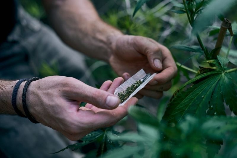 Qué es la marihuana sintética y qué efectos tiene