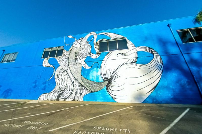 Best Sacramento murals: Maren Conrad Mural.