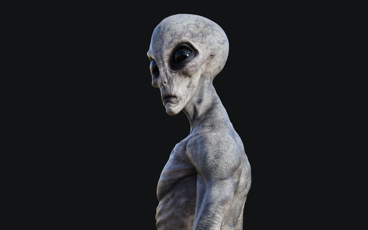 The Black Alien Project: before and after transformation