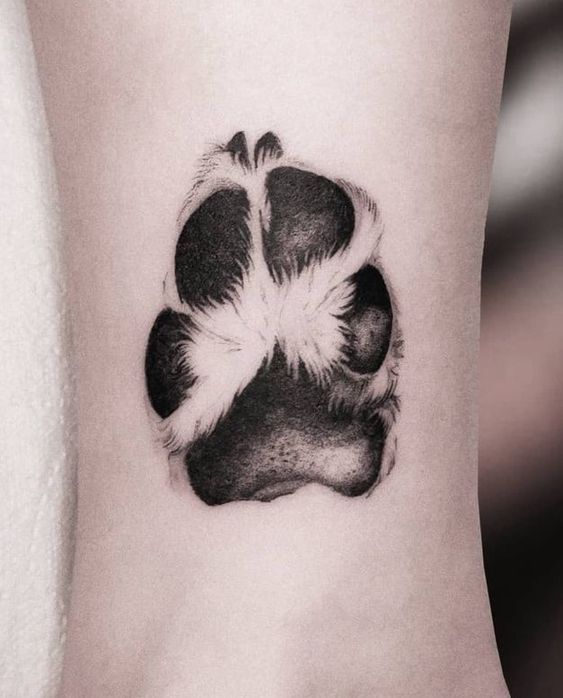 Australian Shepherd Tattoo  Dog tattoos Care bear tattoos Tank tattoo