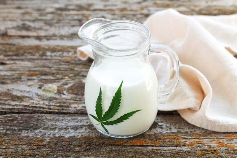 La receta para hacer leche de marihuana