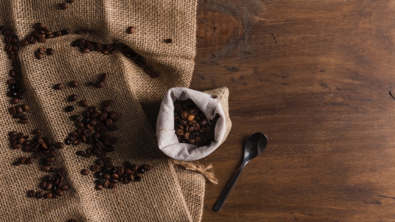The ultimate guide to start fertilizing with coffee grounds