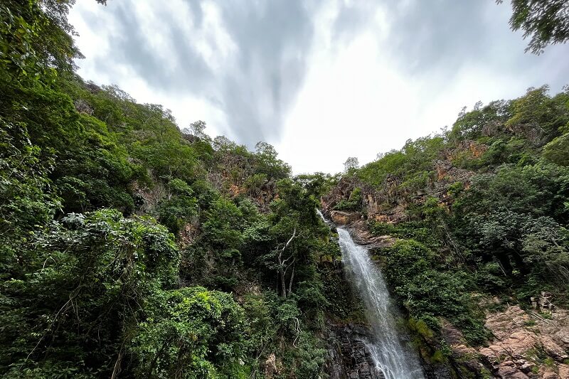 Pantanal Mato Grosso: nosso patrimônio natural