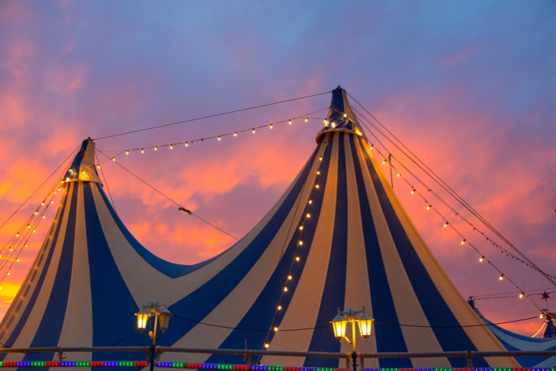 Learn more about the history and shows of Cirque du Soleil.