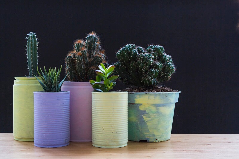 Creative recycled plant pots, we give some ideas.