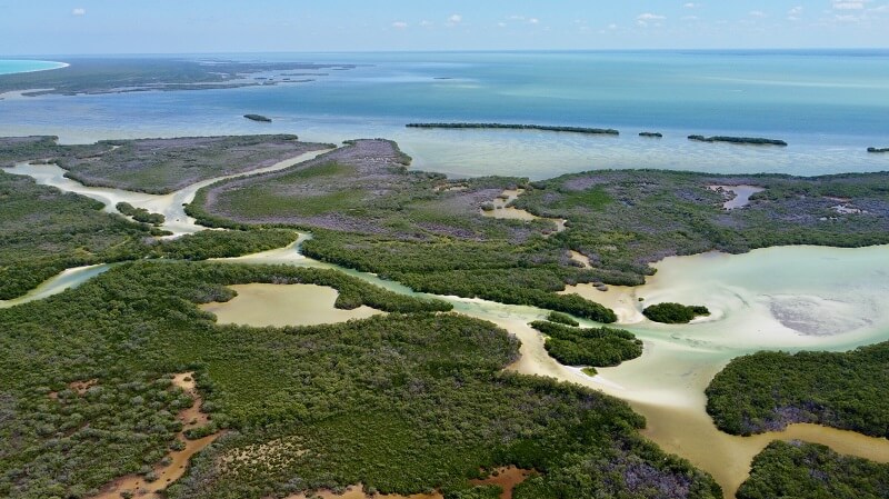 Discover the spectacular Island of Holbox