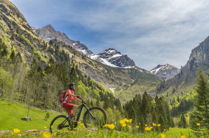 Avalanche best sale bike race