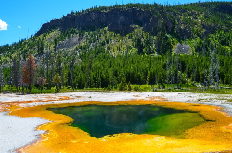 How big is Yellowstone National Park? Roll and Feel explain it to you!