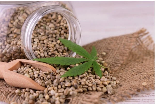 En este post, te explicamos los beneficios medicinas de las semillas de cáñamo.