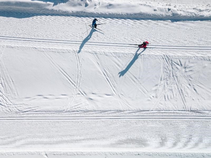 Entdecken Sie alles über Freeride-Ski