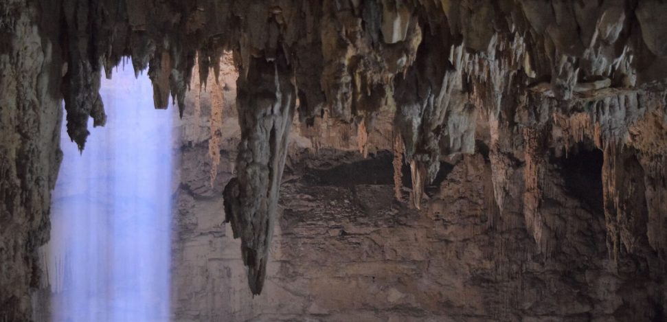 What is a cenote? Discover these natural beauties in Mexico.