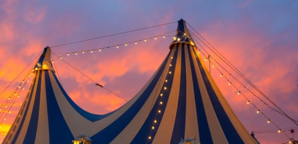 Erfahren Sie mehr über die Geschichte und Shows des Cirque du Soleil.