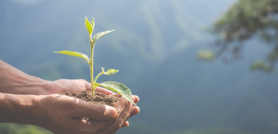 Todo sobre las Etiquetas ECO