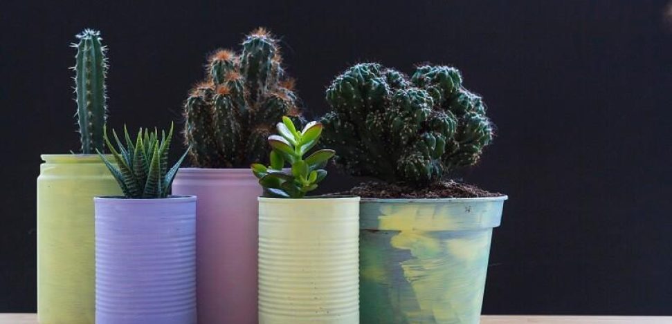 Kreative recycelte Pflanzentöpfe, wir geben einige Ideen.