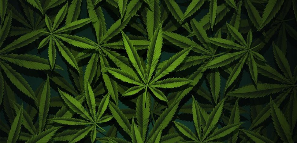 legalizacao-cannabis-portugal