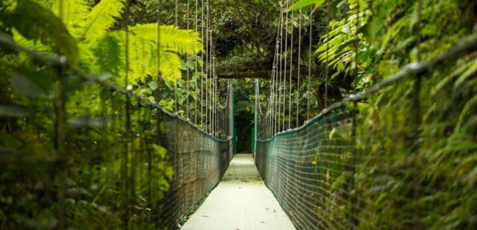 cuidad perdida selva colombiana