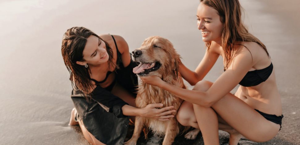 Descubre las mejores playas para perros de España