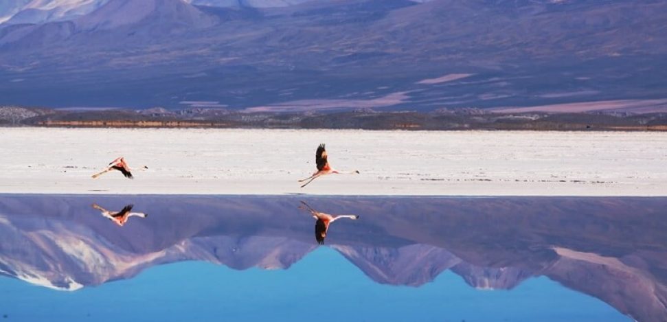 Descubre el Volcán Isluga, al norte de Chile.