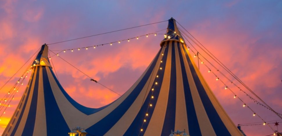 Learn more about the history and shows of Cirque du Soleil.